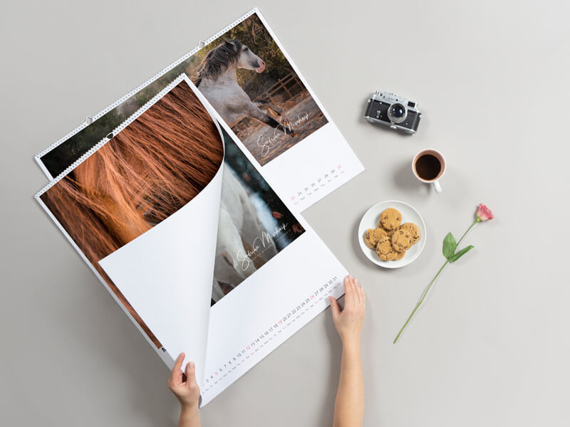 Photo Calendar Pro B2